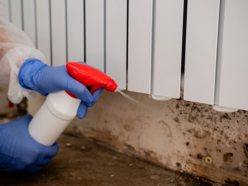 Air Duct Mold Removal in Broward County, FL