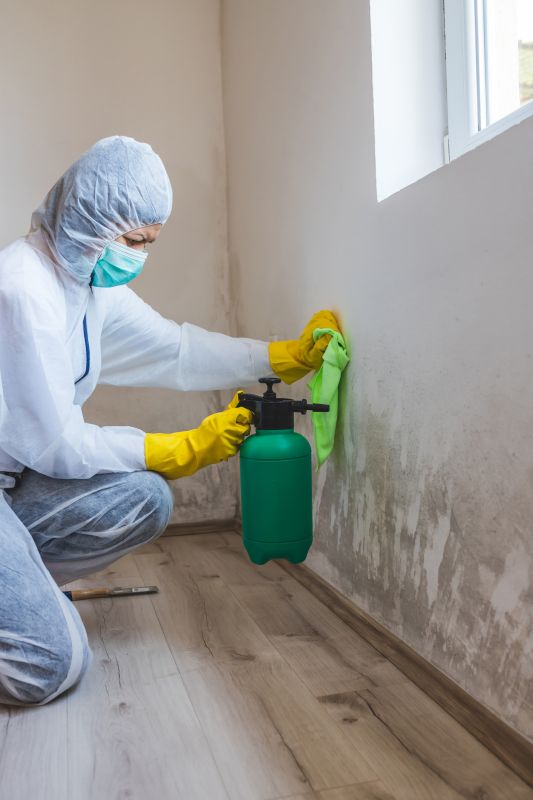 Basement Mold Removal in Bergen County, NJ