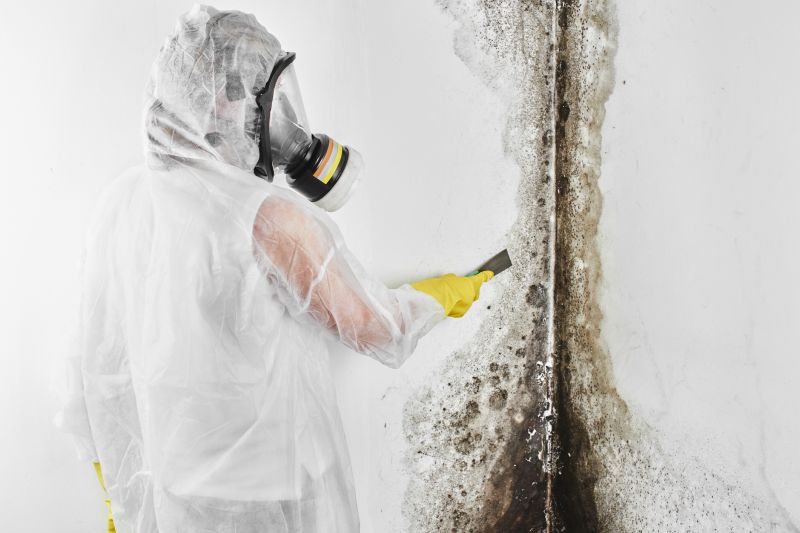 Black Mold Remediation in Essex County, NJ