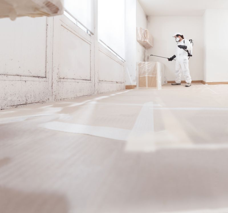 Black Mold Remediation in Bergen County, NJ