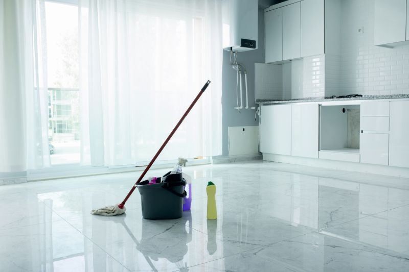 Condo Cleaning in Renton, WA