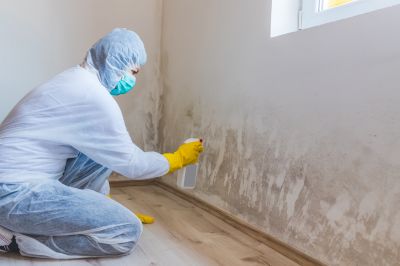 Crawlspace Mold Remediation in Bergen County, NJ