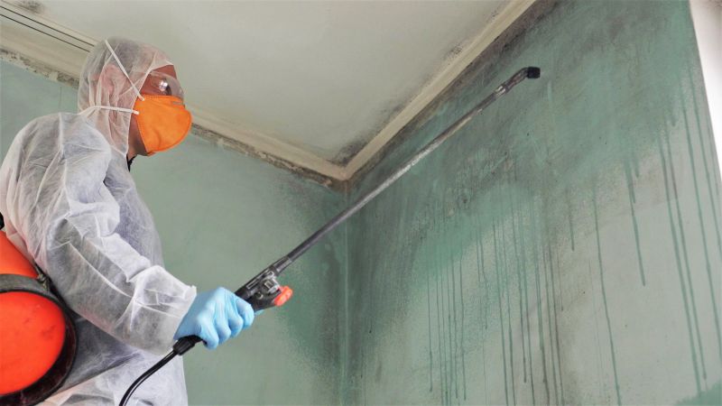 Garage Mold Remediation in Bergen County, NJ