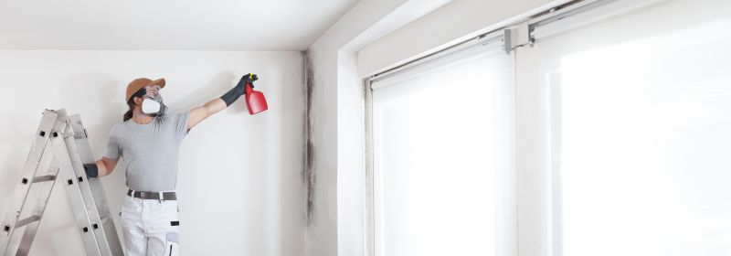 Garage Mold Remediation in West Palm Beach, FL