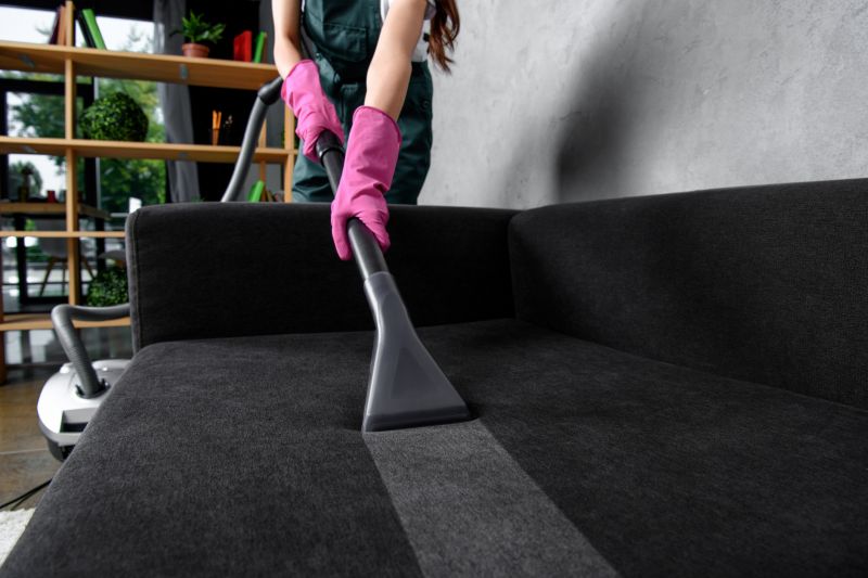 Living Room Upholstery Cleaning