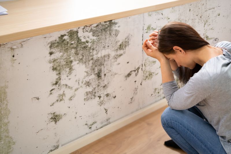 Mold Abatement in Boca Raton, FL