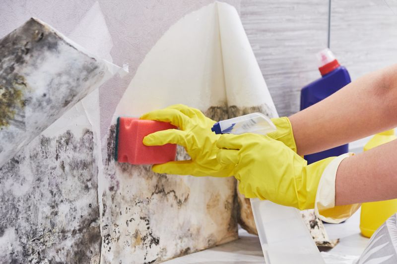 Mold Abatement Service in Boca Raton, FL