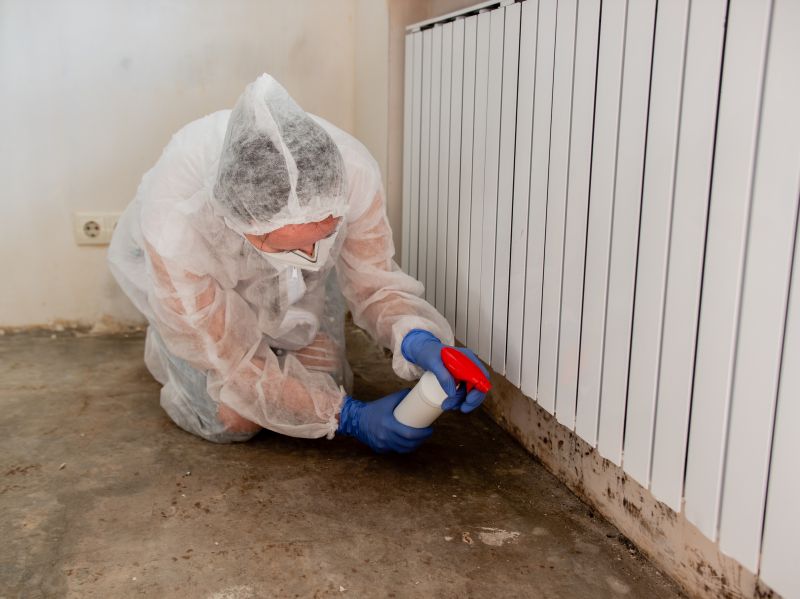 Mold Mitigation Service in Essex County, NJ
