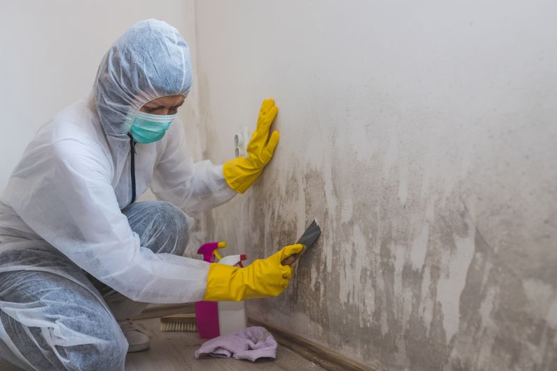 Mold Restoration in West Palm Beach, FL