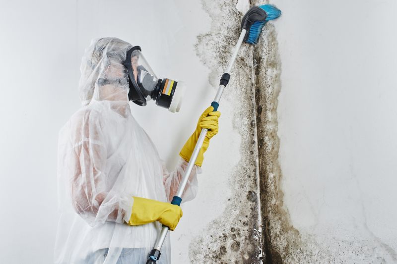Mold Treatment Service in Broward County, FL