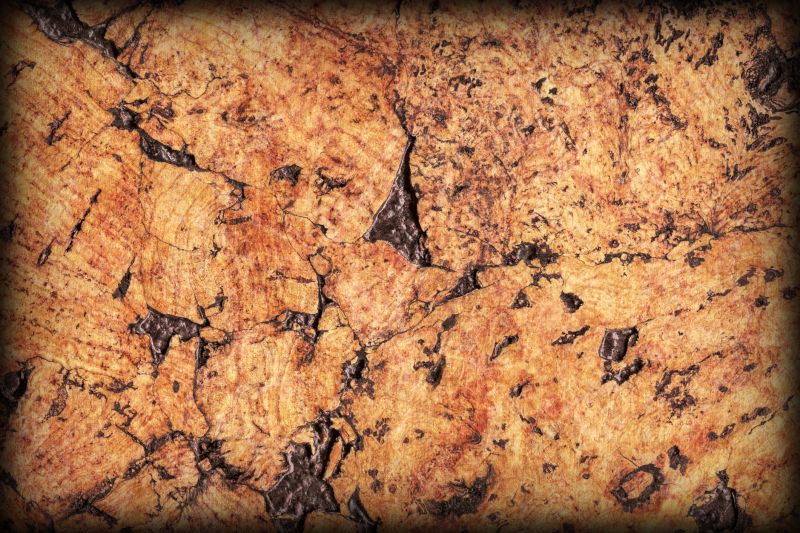 Eco-Friendly Maintenance Options