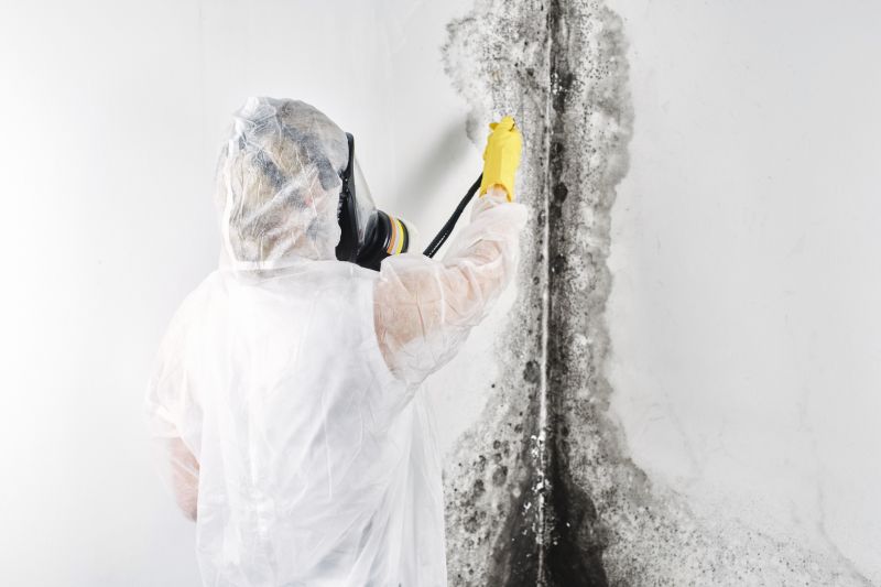 Attic Mold Removal in Fort Lauderdale, FL