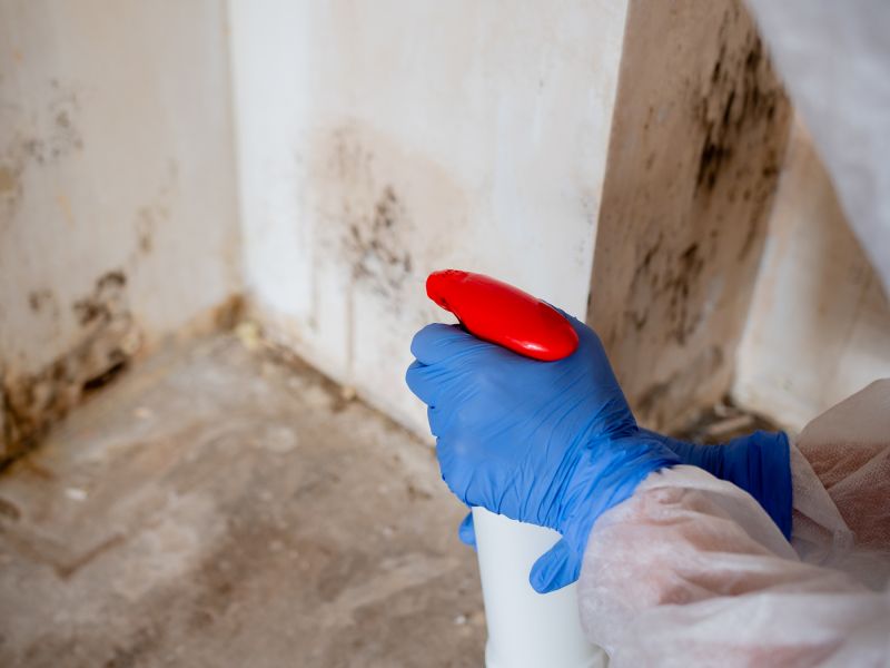 Mold Restoration in Fort Worth, TX